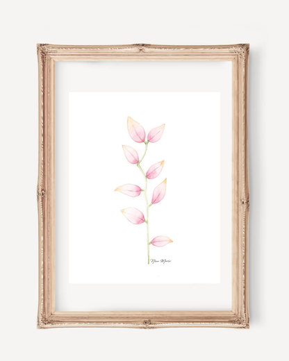 Flower Wall Art - Pink Botanicals