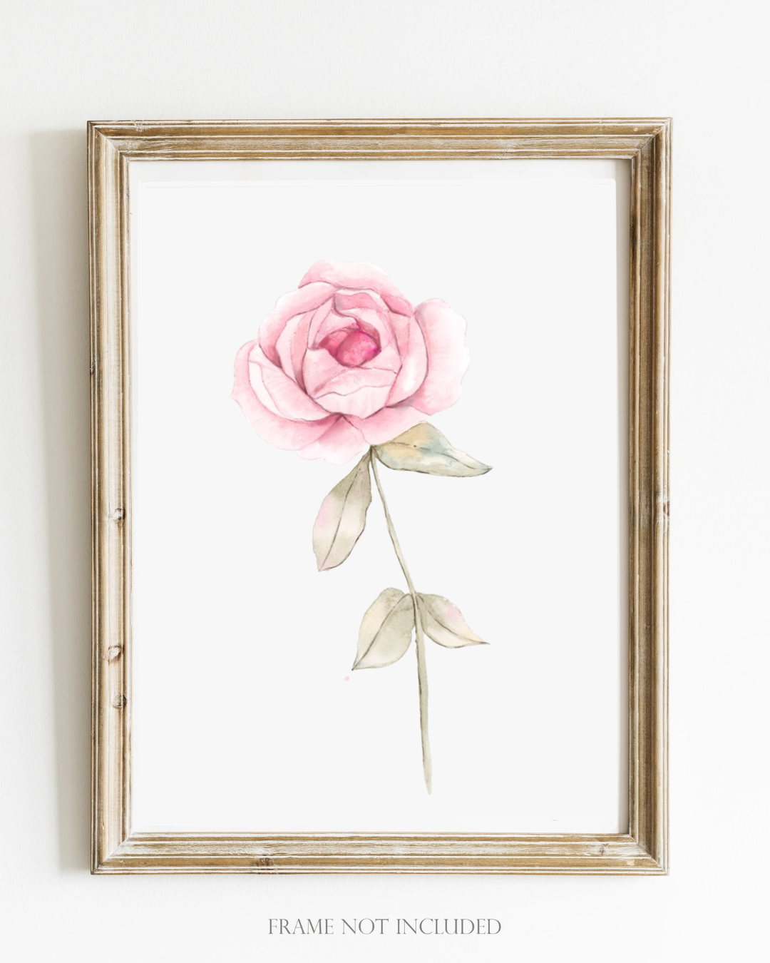 Flower Wall Art - Delicate Watercolor Rose