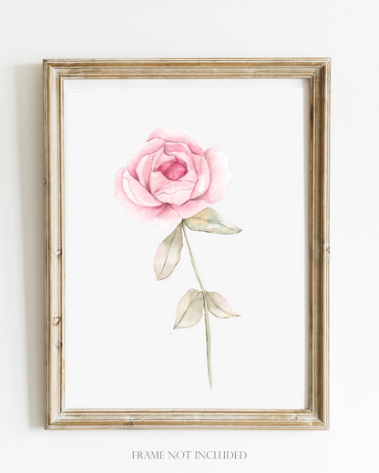 Flower Wall Art - Delicate Watercolor Rose