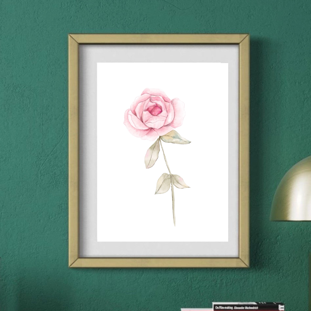 Flower Wall Art - Delicate Watercolor Rose