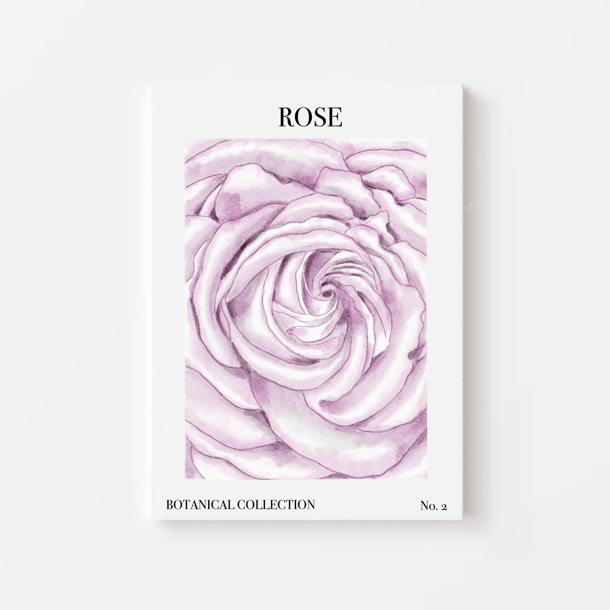 No. 2 Botanical Collection: Rose Art Print by Nina Maric