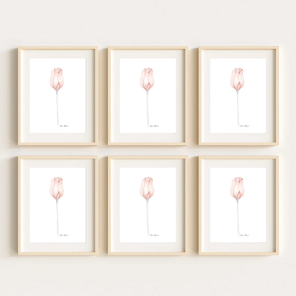 Flower gallery wall art prints by Nina Maric Art