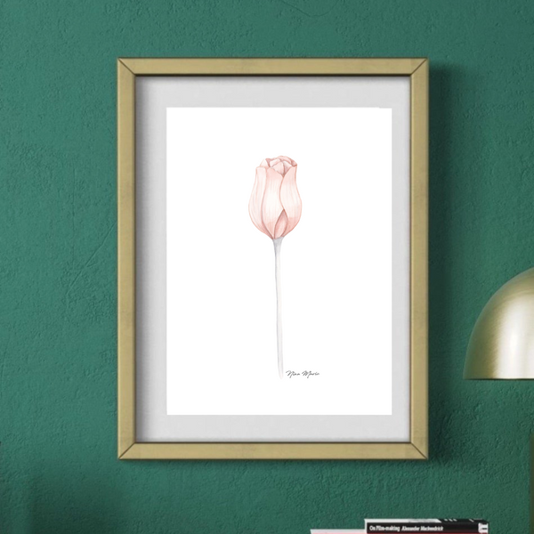 Delicate watercolor art print tulip for home decor by Nina Maric