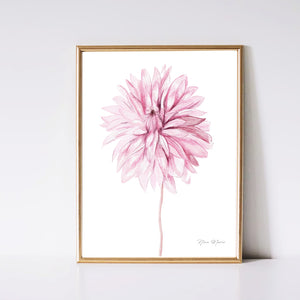 Dahlia Art Print by Nina Maric